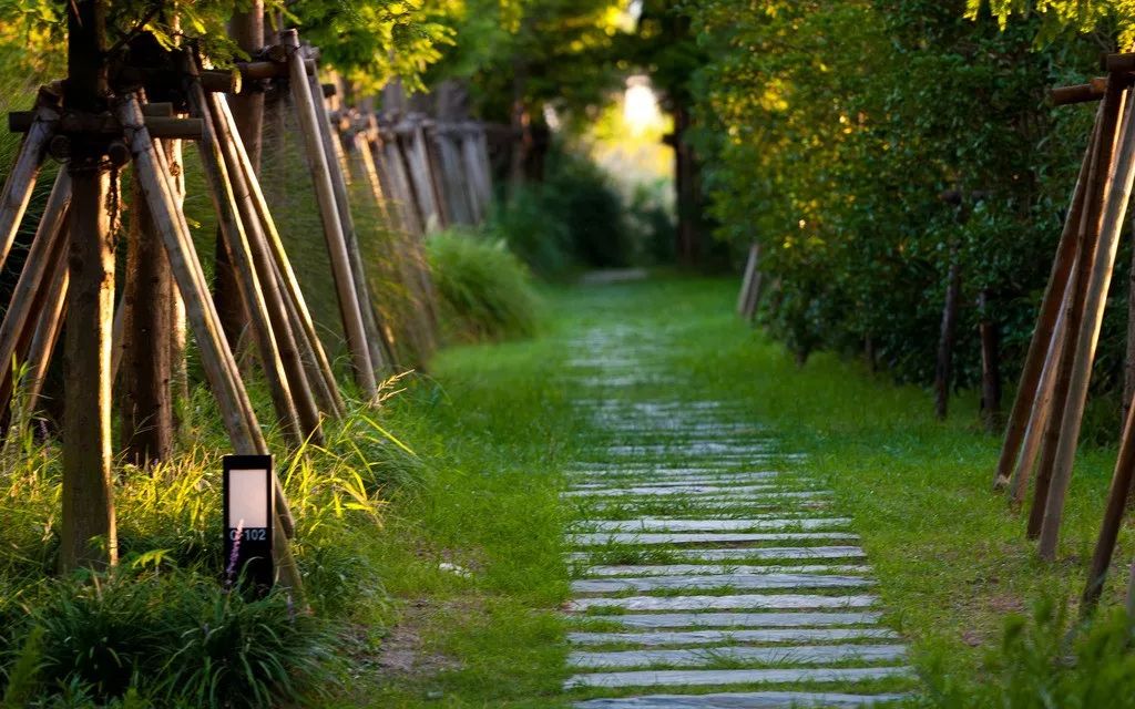 在上海生活有哪些福利可以领,外地人在上海享受的福利