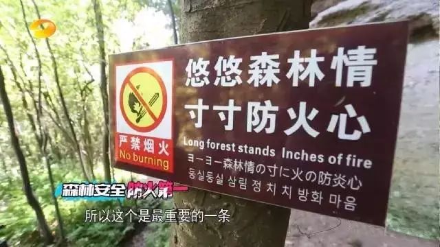 稀奇古怪的灭火器,各种灭火器是怎么制造的