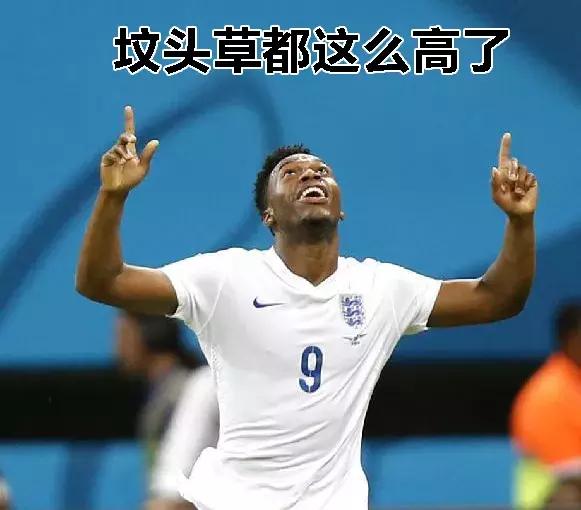 三狮和三猫谁厉害,英格兰足球三狮军团三喵