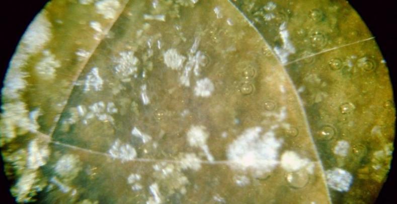 古瓷如何鉴定真伪,古瓷真伪鉴别的六种方法