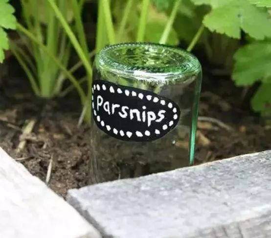 创意农业丨妙用瓶子,让你的农场不一样