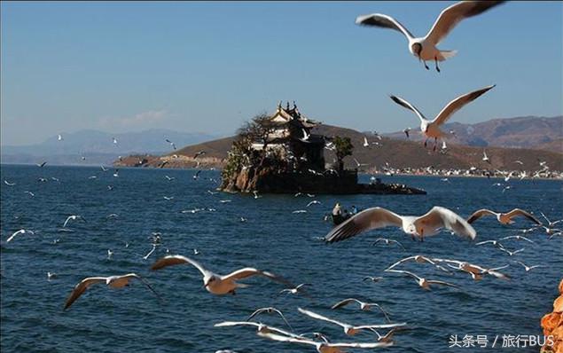 去了洱海之后去哪,洱海环湖骑车攻略