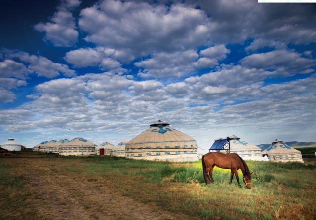 夏天了来呼伦贝尔旅游吧,暑假一起去新疆吧