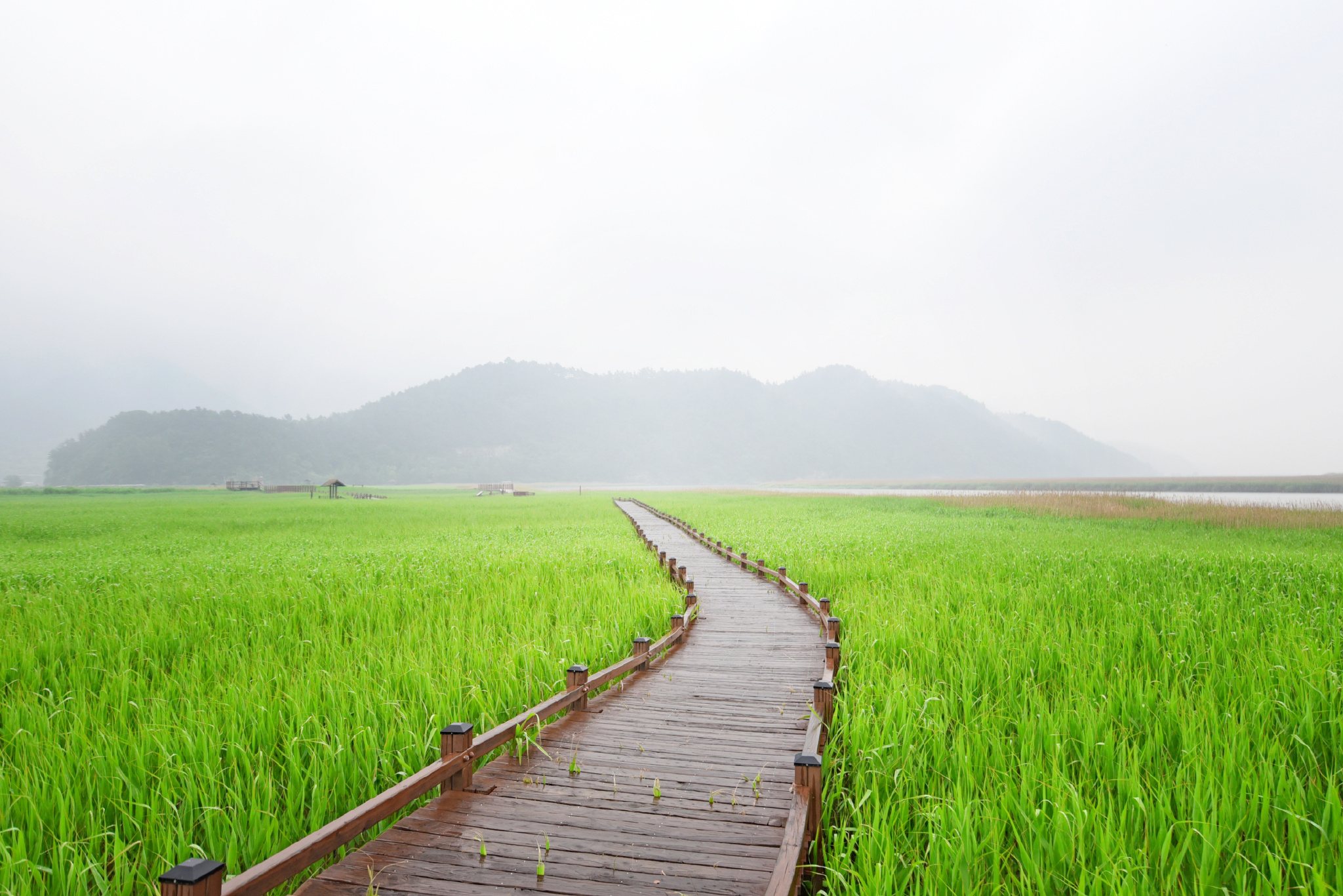 韩国排名第一的韩剧,韩国公认最好看的韩剧