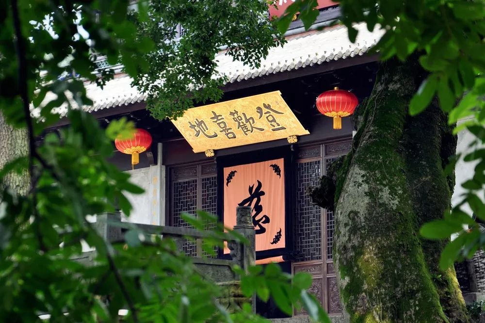 这座跟着周杰伦空降热搜的杨梅味小城，休渔期也能让你吃得满嘴鲜