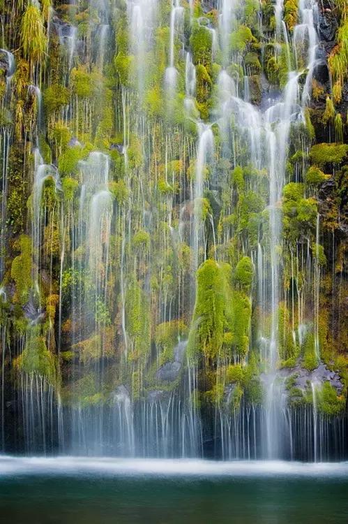 14张会动的照片,会动的照片大全大图