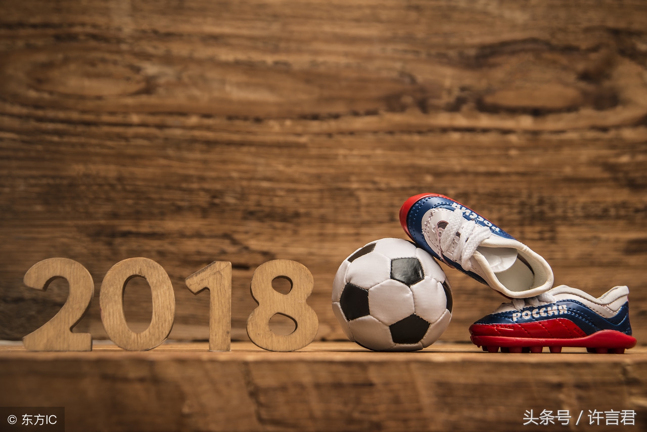 章鱼保罗预测的结果,章鱼保罗预言世界杯