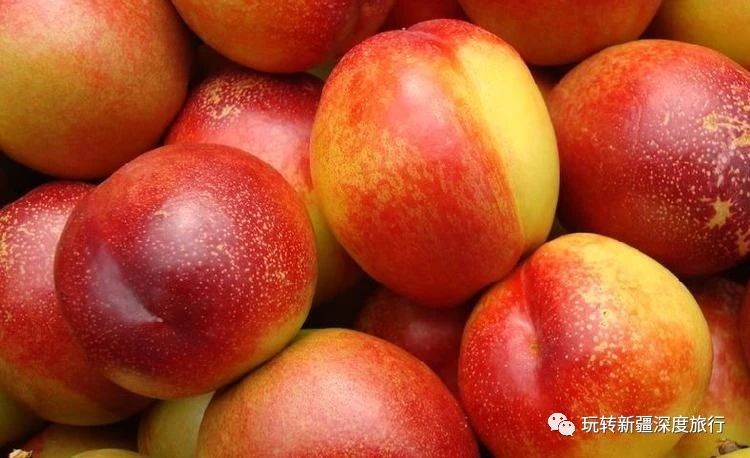 南疆最好吃的瓜果,新疆瓜果什么最好吃又便宜