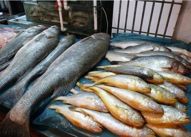 端午节吃什么海鲜比较好,端午海鲜如何选