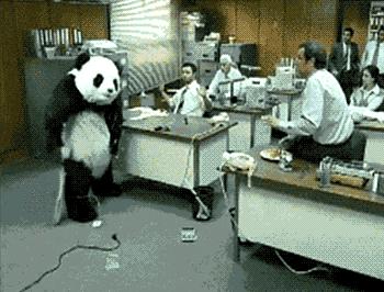 熊猫摄影拍摄技巧,熊猫摄影图片大图