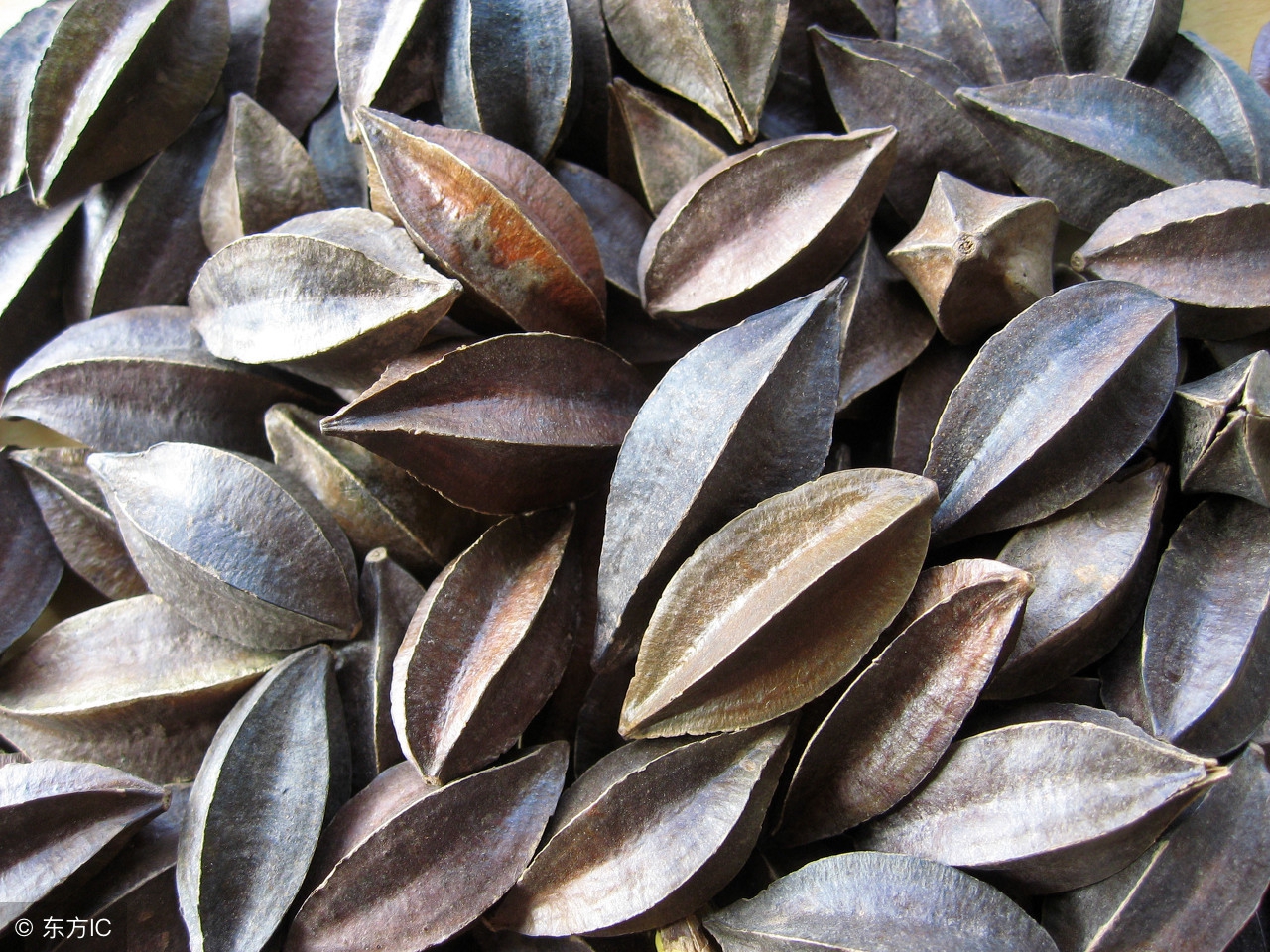 中药师解读街头高价售卖的“使君子”到底好不好使