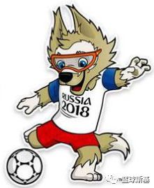 世界杯伪球迷必备,世界杯标准伪球迷指南