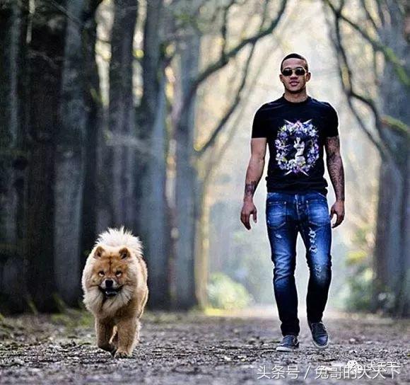 足球吉祥物狗狗盘点,一只狗狗拯救了无数人