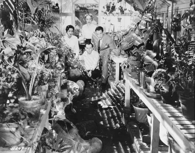 影史上的外星人,影史百大电影