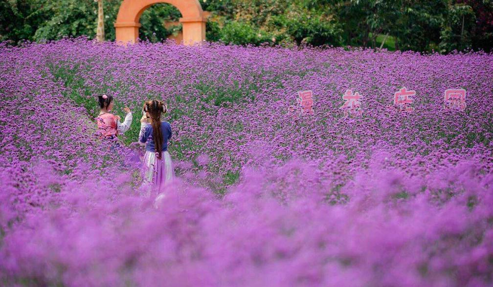 成都沸腾小镇繁花似锦,成都天府新区沸腾小镇