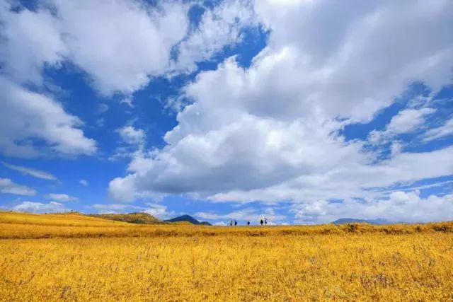 新华社攀枝花,新华社三亚