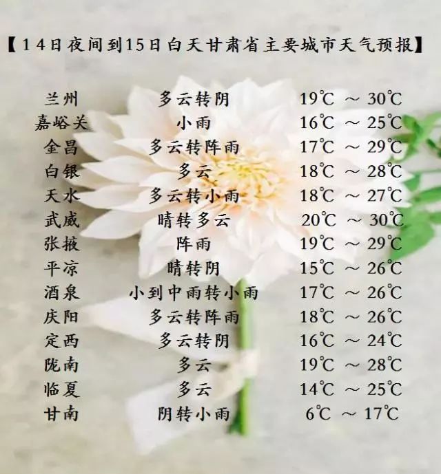 端午时节粽子飘香,端午时节粽香四溢