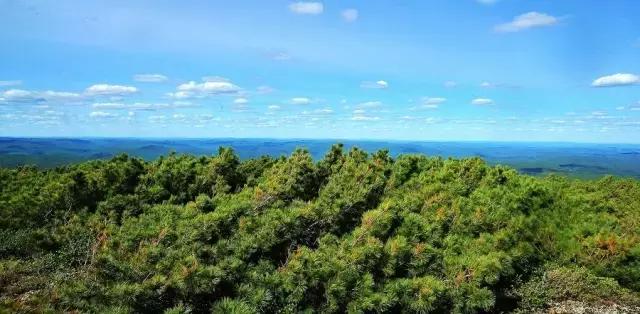 高铁旅游线路top10推荐,一条完整的旅游线路图