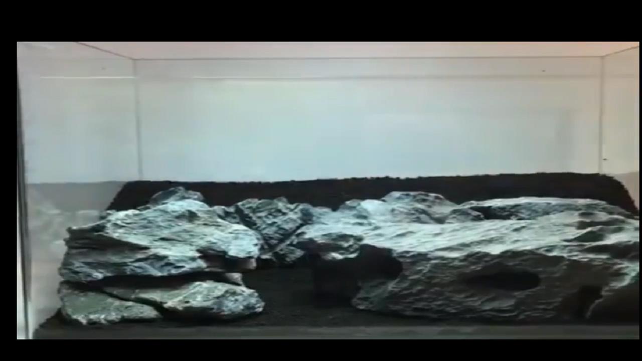 40*40原生莫斯草缸造景作品,鱼缸造景效果图草缸怎么才能通透