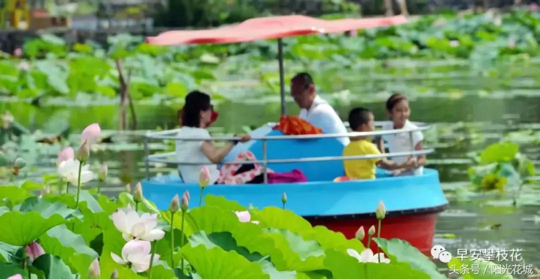 攀枝花周边一日游最佳路线,攀枝花周边有什么好玩的地方