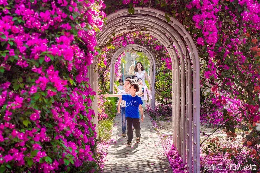 攀枝花周边一日游最佳路线,攀枝花周边有什么好玩的地方