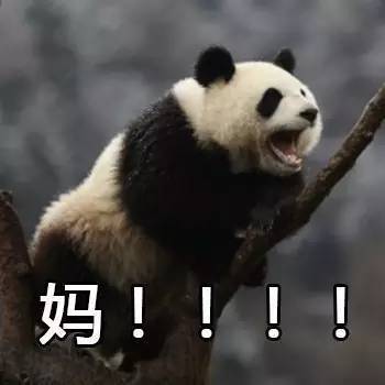 世界杯足球表情包,卡塔尔世界杯吉祥物表情包