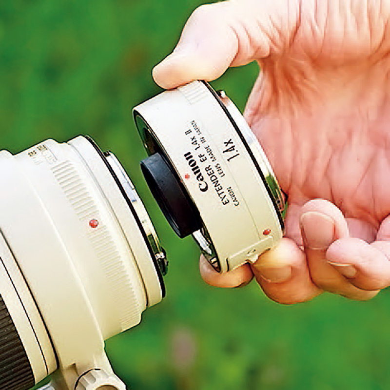 鎯犳儬鎽勫奖浣滃搧娆ｈ祻,鎯犳媿鎽勫奖