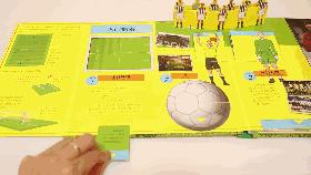 四年一次的世界杯怎么过,4年一次足球世界杯