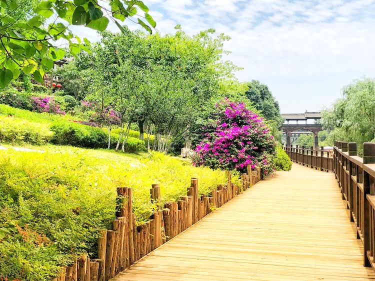 炎炎夏日何处去青岩古镇觅清凉,这个初夏去静谧的古镇寻一处清凉