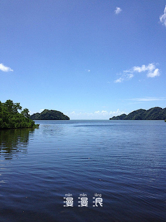 帕劳海底之旅,帕劳的海底