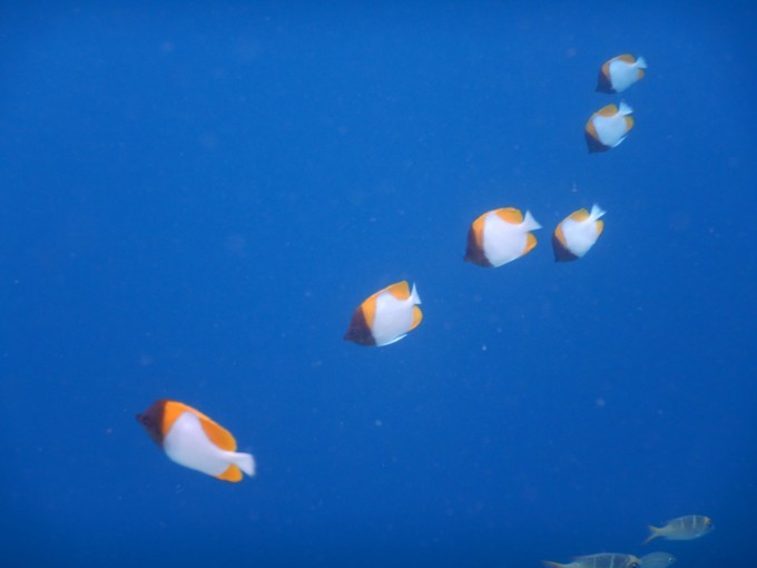 端午来这个绝美海岛,端午海岛游