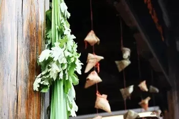 中医用的艾草是什么样的,家有三年艾郎不用来什么意思