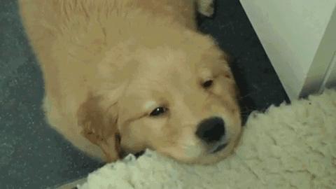 老是打嗝怎么办快速止嗝,老是打嗝怎么办快速止嗝的方法