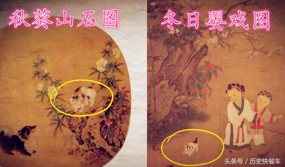 喵星人的变化史,喵星人养猫13年经验分享