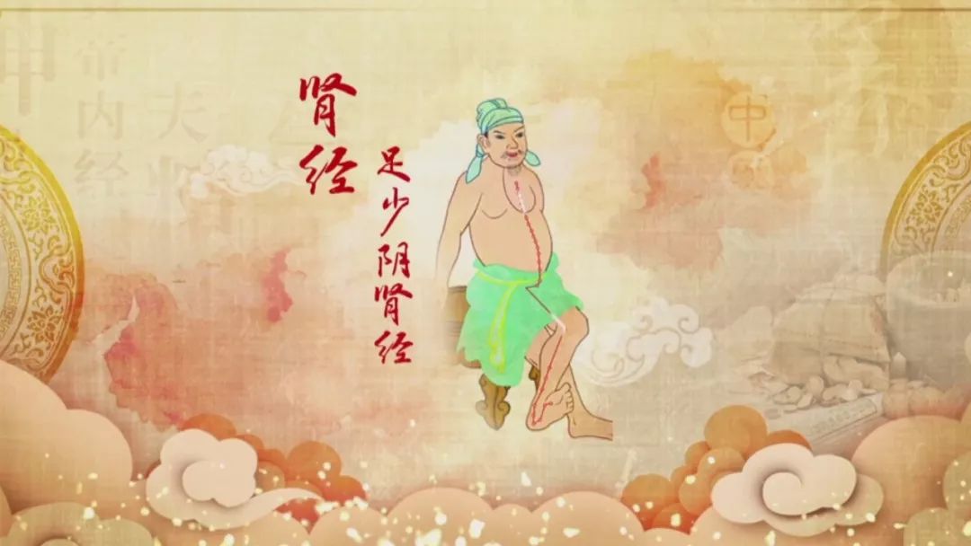 养生堂中医看病全集,养生堂2023.11.7全集免费