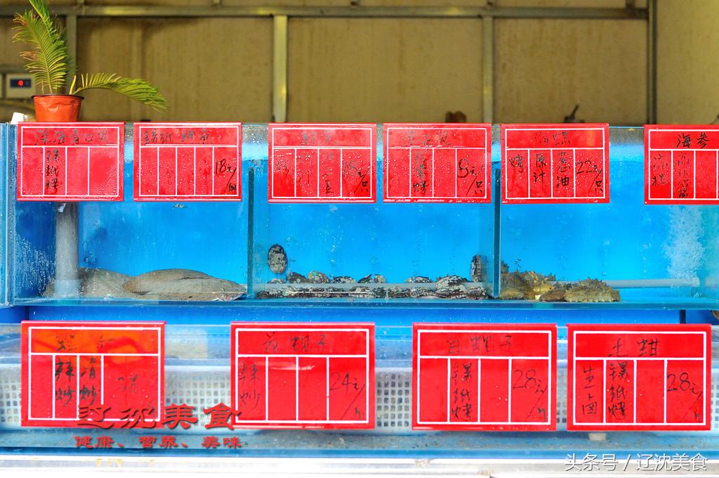 沈阳球迷嘉年华,沈阳世界杯观赛