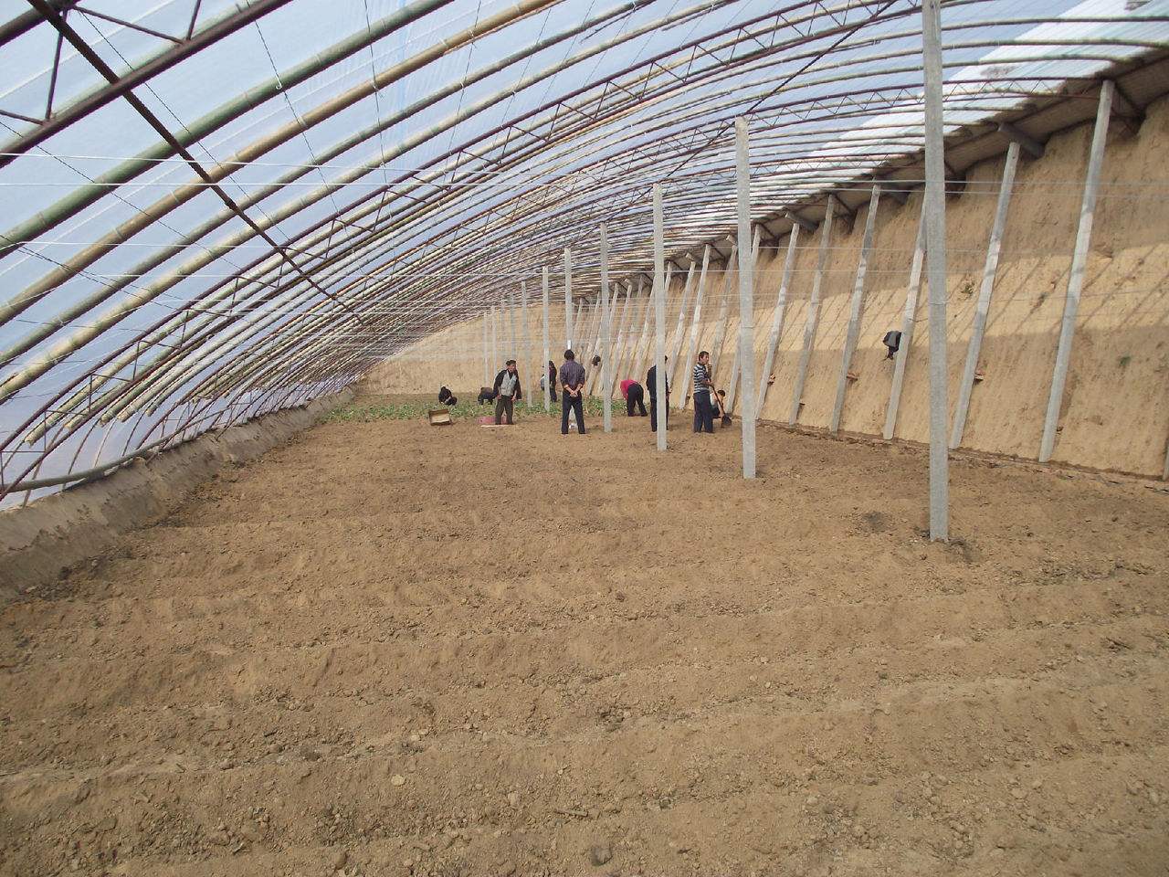 温室蔬菜大棚建设注意事项,温室大棚和普通大棚有什么不一样