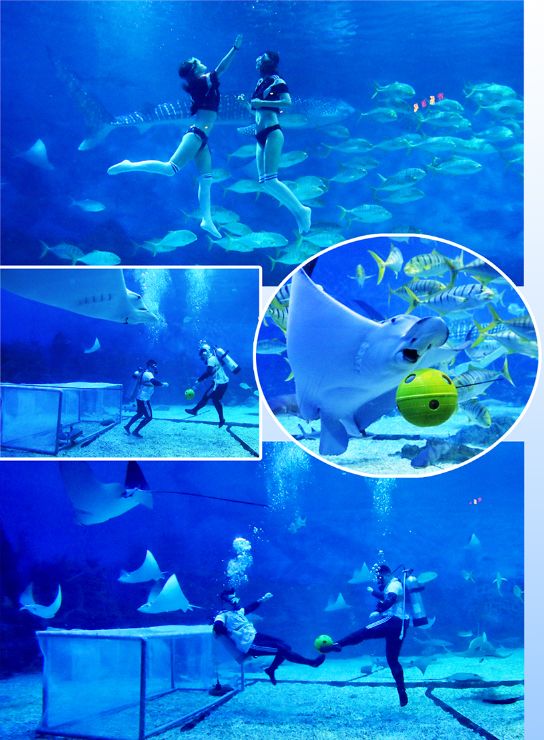 海底足球大赛,青岛海底世界杯