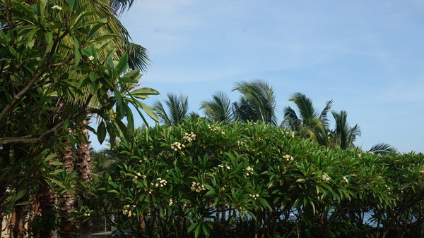 一个人的旅行真的有意义吗,旅行的意义和不期而遇的相遇