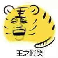 世界杯伪球迷观赛指南,世界杯伪球迷手册图片