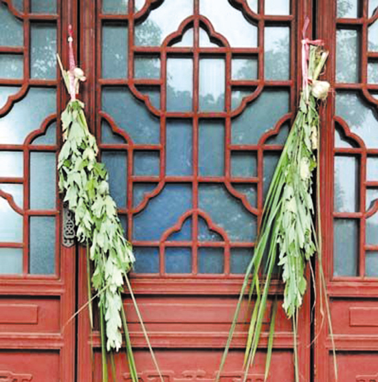 王药师带你认草药-艾叶、菖蒲