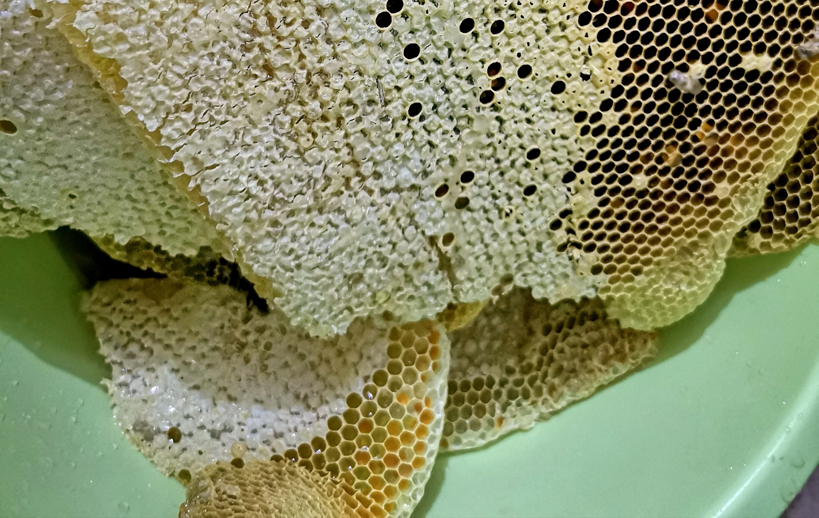 端午农家,民宿端午节美食