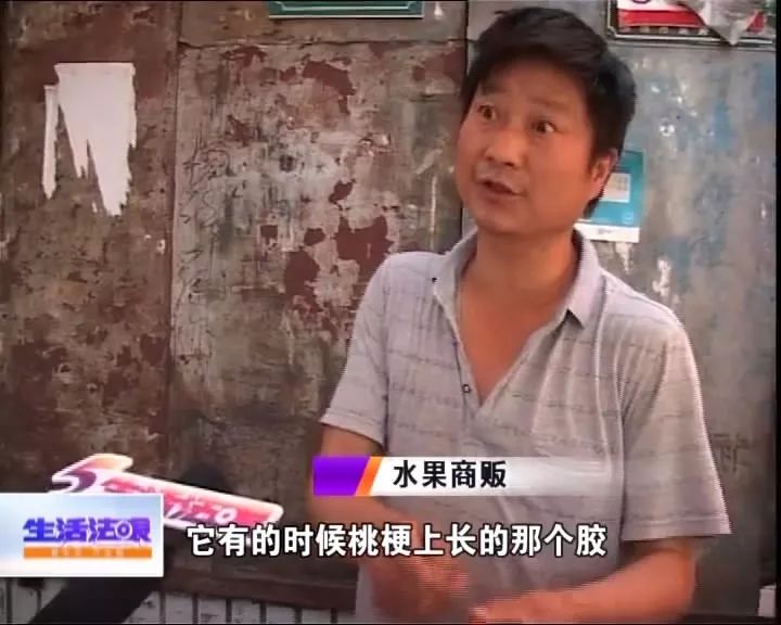 真相：桃子里面吃出黏液是“桃胶”还是另有他因？