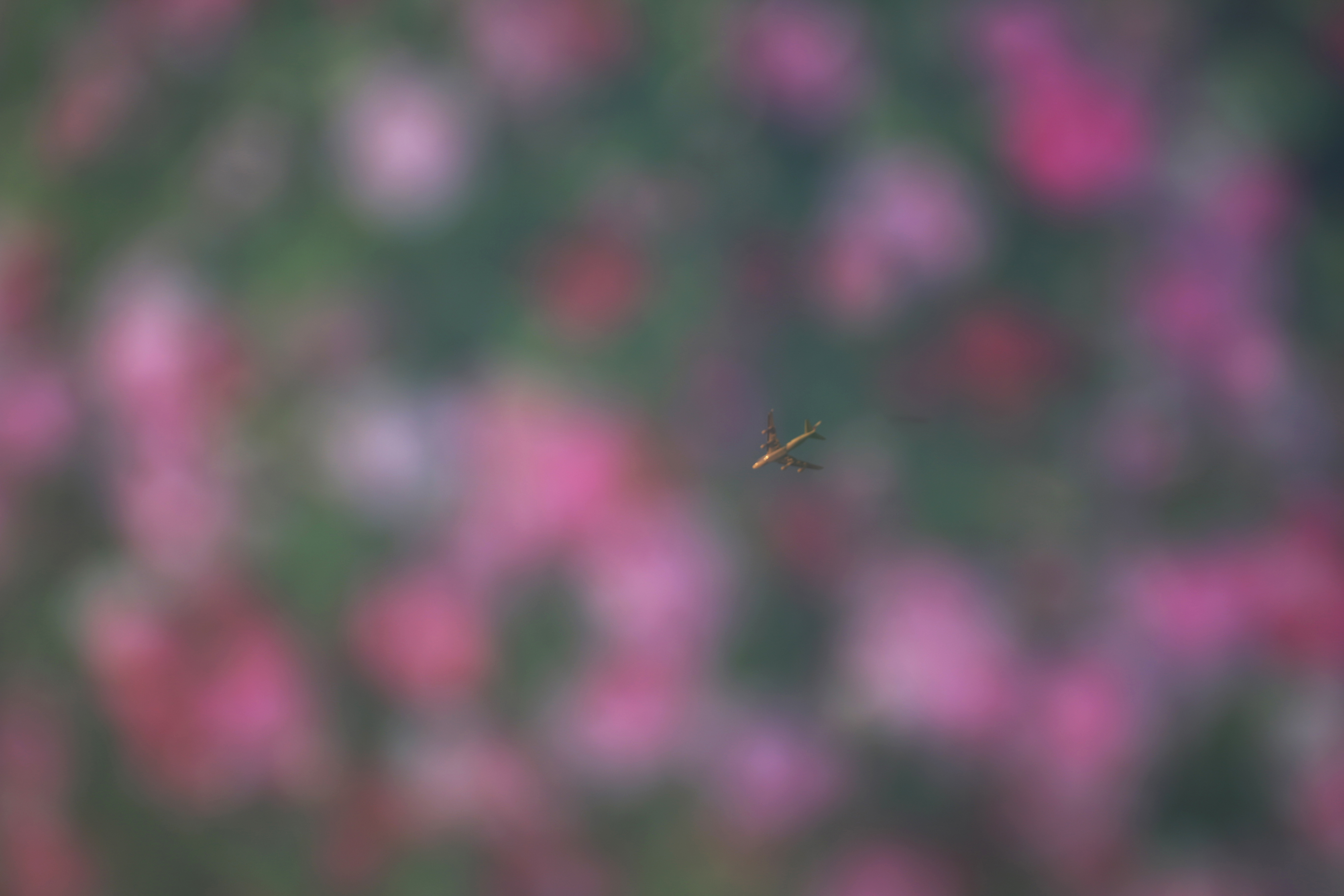 中艺摄影微课堂多重曝光,多重曝光摄影视频教程