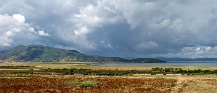 突尼斯是欧洲的国家吗,突尼斯国家简介概况
