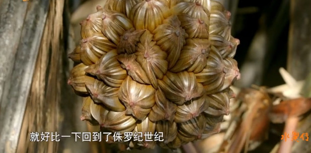 豆瓣8.9高分,豆瓣8.9评分经典