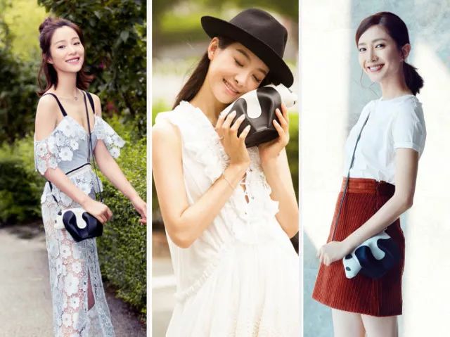 lv定制款狗狗包,lv上画熊猫的包