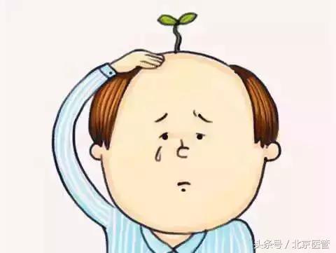 每5名男士就有一人中招？快帮爸爸解决这件“头顶大事”！