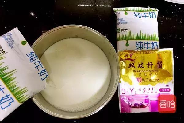 怎样用电饭煲制作酸奶教程,电饭煲自制酸奶的家常做法