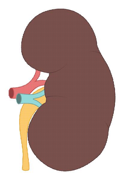 一家三口都得了高血压,武汉一家三口同时患上高血压